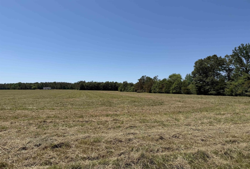 1 69 HWY, Adamsville, Tennessee 38310, ,Land,For Sale,69,10221452