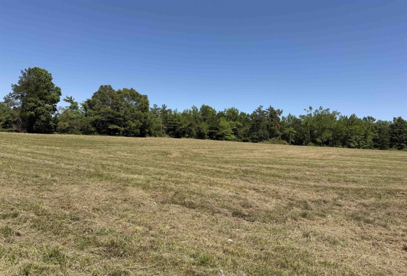 1 69 HWY, Adamsville, Tennessee 38310, ,Land,For Sale,69,10221452