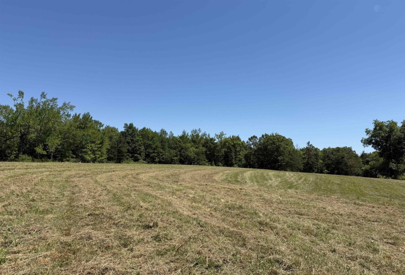 1 69 HWY, Adamsville, Tennessee 38310, ,Land,For Sale,69,10221452