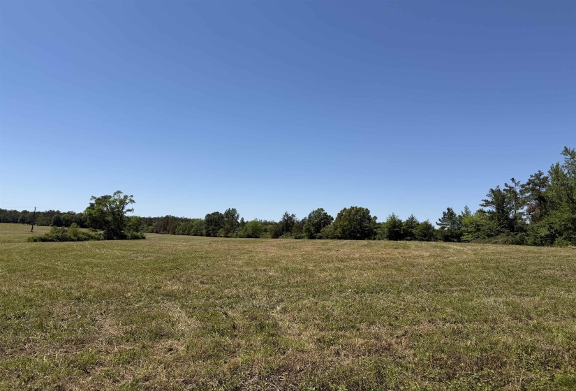 1 69 HWY, Adamsville, Tennessee 38310, ,Land,For Sale,69,10221452