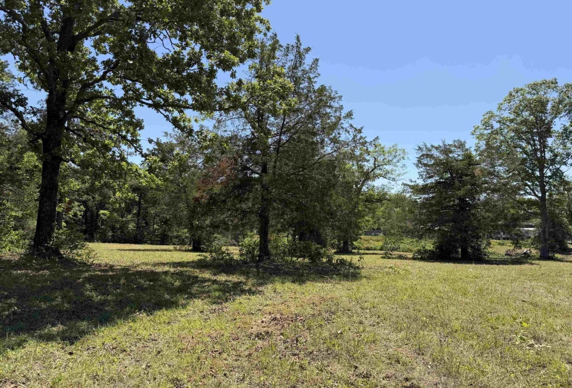 1 69 HWY, Adamsville, Tennessee 38310, ,Land,For Sale,69,10221452