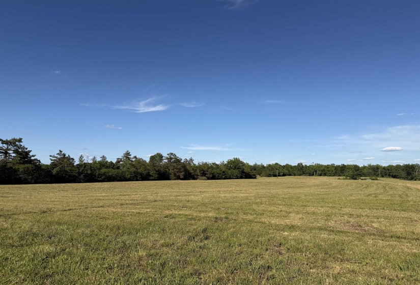 1 69 HWY, Adamsville, Tennessee 38310, ,Land,For Sale,69,10221452
