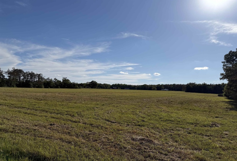 1 69 HWY, Adamsville, Tennessee 38310, ,Land,For Sale,69,10221452
