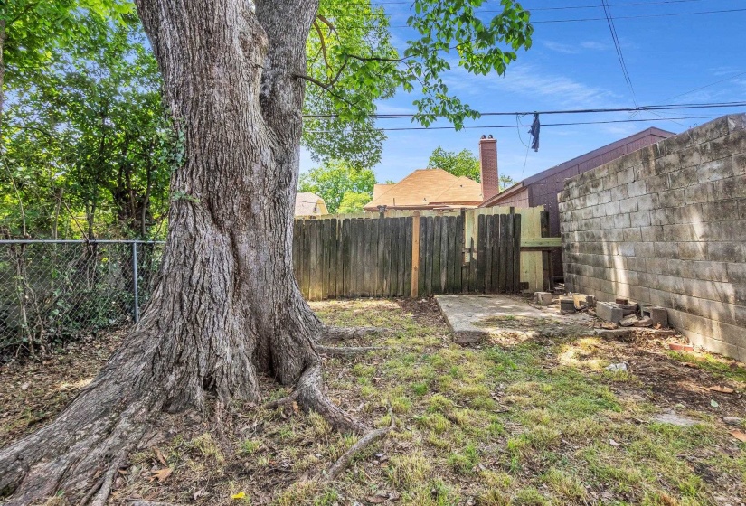 Backyard featuring a mature tree, chain-link fencing, a wooden privacy fence, a concrete patio area, and concrete block wall