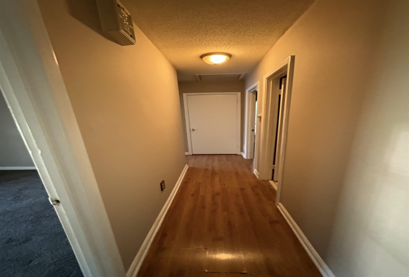 Hallway featuring wood-finish flooring, light-toned walls, and a flush-mount ceiling light