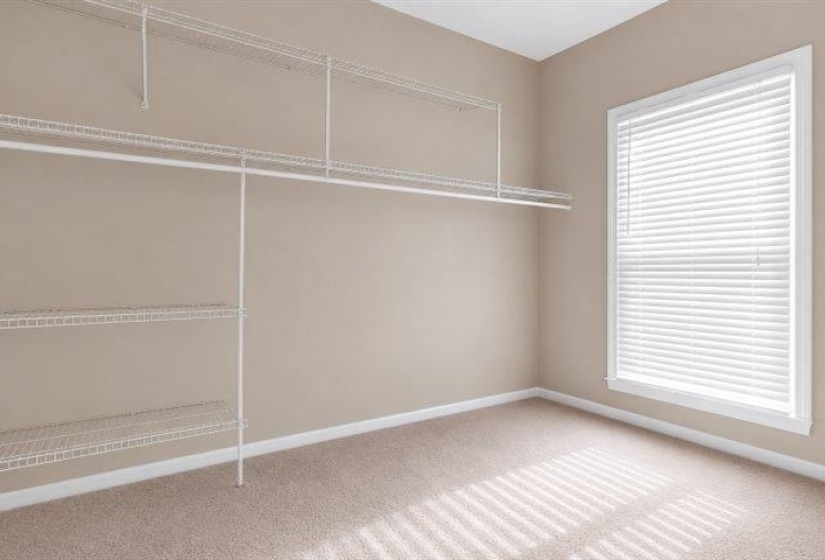 Room featuring wire shelving system, neutral-toned walls, and plush carpet flooring
