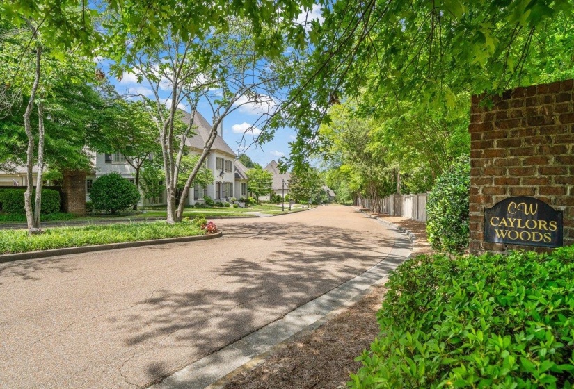 2301 CAYLORS WOODS CV, Germantown, Tennessee 38138, 5 Bedroom Bedrooms, 13 Room Rooms,6.2 BathroomBathrooms,Residential,For Sale,CAYLORS WOODS,0,10221454