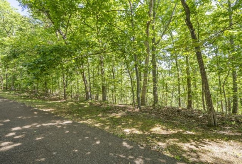 0 HOLLOW TREE RD, Savannah, Tennessee 38372, 0 , 0 ,0,Land,For Sale,HOLLOW TREE,0,10221469