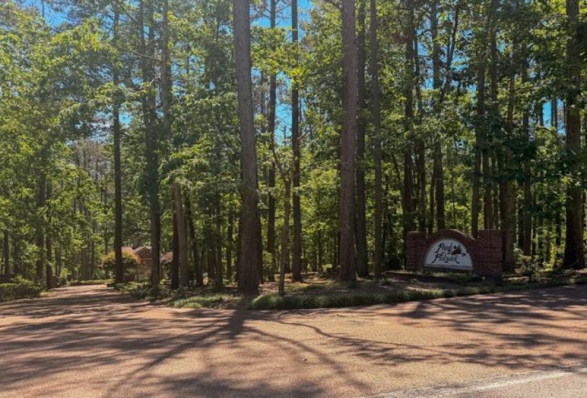 0 HOLLOW TREE RD, Savannah, Tennessee 38372, 0 , 0 ,0,Land,For Sale,HOLLOW TREE,0,10221469