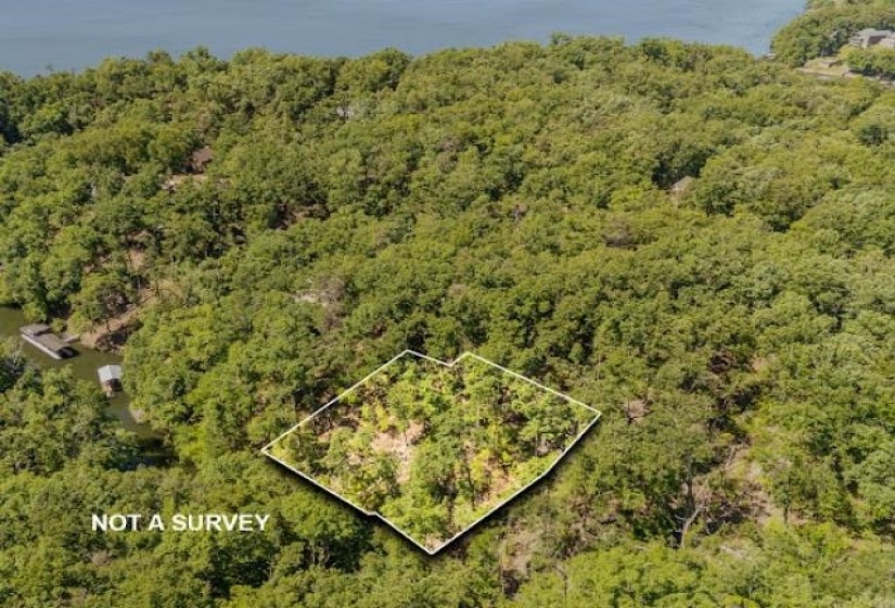 0 HOLLOW TREE RD, Savannah, Tennessee 38372, 0 , 0 ,0,Land,For Sale,HOLLOW TREE,0,10221469