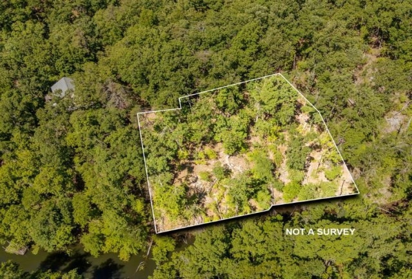 0 HOLLOW TREE RD, Savannah, Tennessee 38372, 0 , 0 ,0,Land,For Sale,HOLLOW TREE,0,10221469
