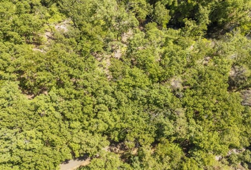 0 HOLLOW TREE RD, Savannah, Tennessee 38372, 0 , 0 ,0,Land,For Sale,HOLLOW TREE,0,10221469