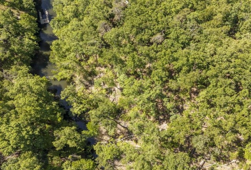 0 HOLLOW TREE RD, Savannah, Tennessee 38372, 0 , 0 ,0,Land,For Sale,HOLLOW TREE,0,10221469