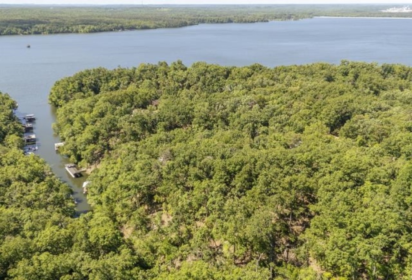 0 HOLLOW TREE RD, Savannah, Tennessee 38372, 0 , 0 ,0,Land,For Sale,HOLLOW TREE,0,10221469
