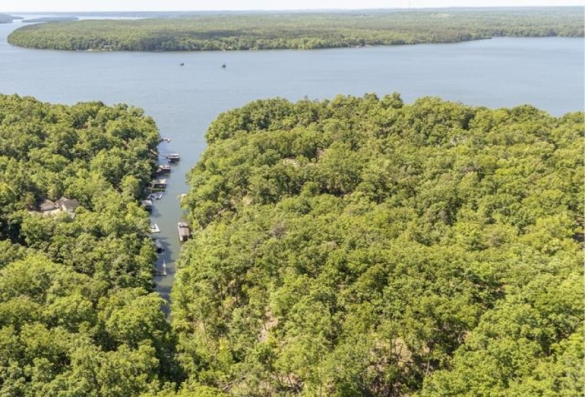 0 HOLLOW TREE RD, Savannah, Tennessee 38372, 0 , 0 ,0,Land,For Sale,HOLLOW TREE,0,10221469