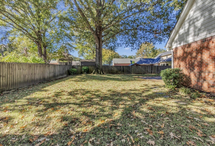 Expansive outdoor space featuring a manicured lawn, established shade trees, and a privacy fence