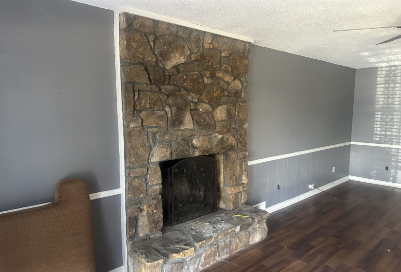 Stone fireplace with a metal fire screen, dark wood-finish flooring, and grey walls with wainscoting