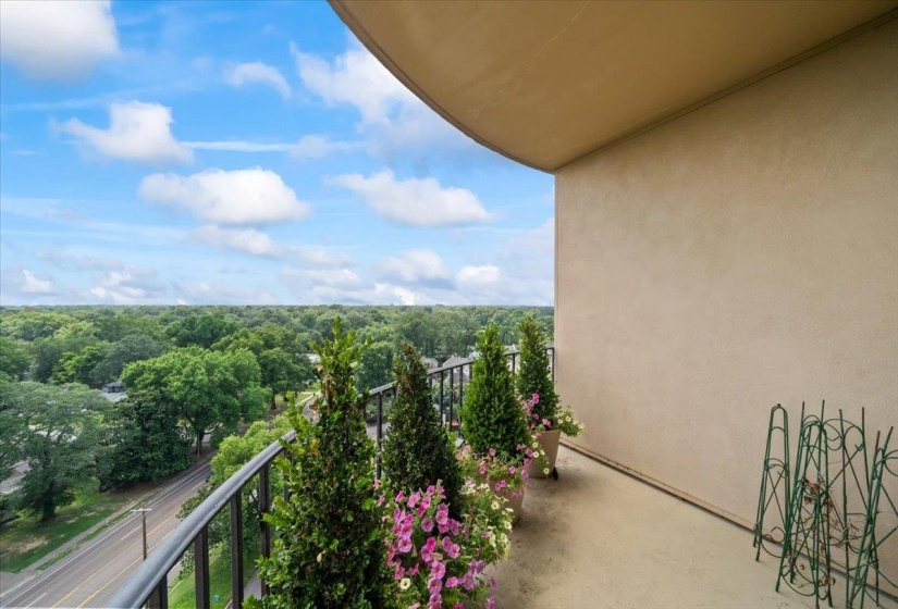 Balcony with a wooded view