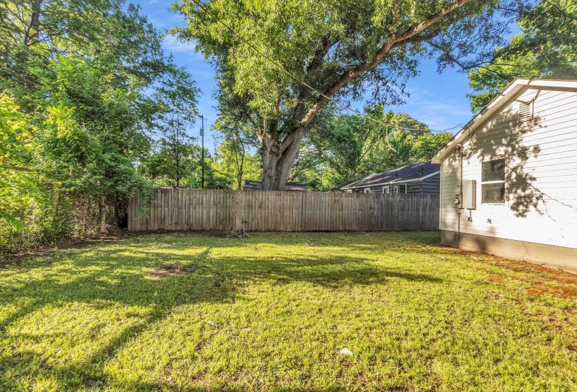 Expansive grassy yard area with a sturdy wooden privacy fence