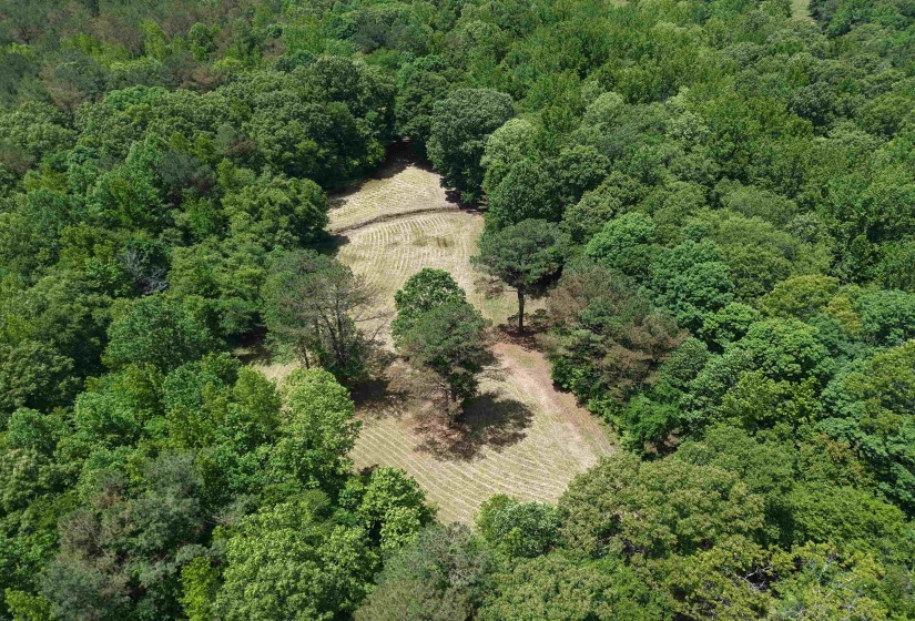 3360 EBENEZER RD, Toone, Tennessee 38381-7810, 5 Bedrooms Bedrooms, 5 Rooms Rooms,4 BathroomsBathrooms,Residential,For Sale,EBENEZER,10221492