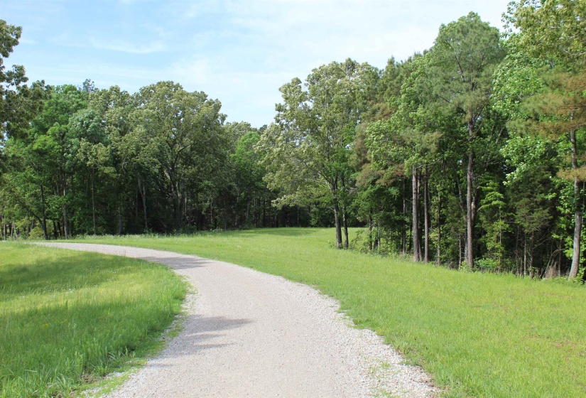 3360 EBENEZER RD, Toone, Tennessee 38381-7810, 5 Bedrooms Bedrooms, 5 Rooms Rooms,4 BathroomsBathrooms,Residential,For Sale,EBENEZER,10221492