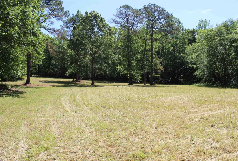 3360 EBENEZER RD, Toone, Tennessee 38381-7810, 5 Bedrooms Bedrooms, 5 Rooms Rooms,4 BathroomsBathrooms,Residential,For Sale,EBENEZER,10221492