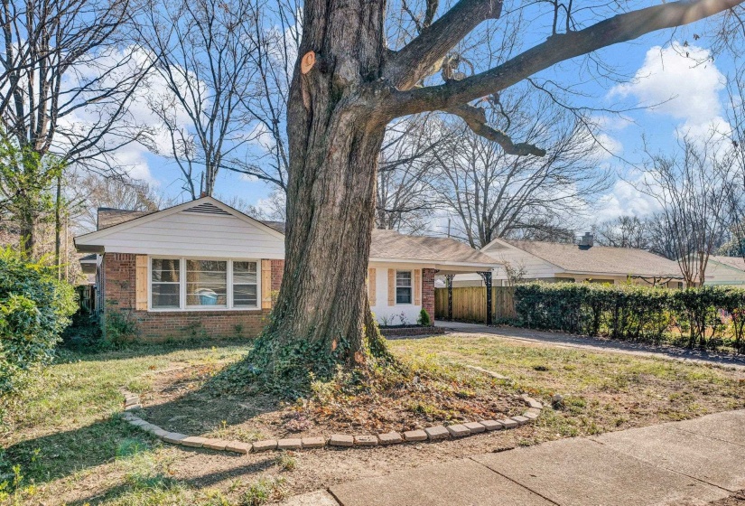 1338 DEARING RD, Memphis, Tennessee 38117, 4 Bedrooms Bedrooms, 7 Rooms Rooms,2 BathroomsBathrooms,Residential,For Sale,DEARING,10221499