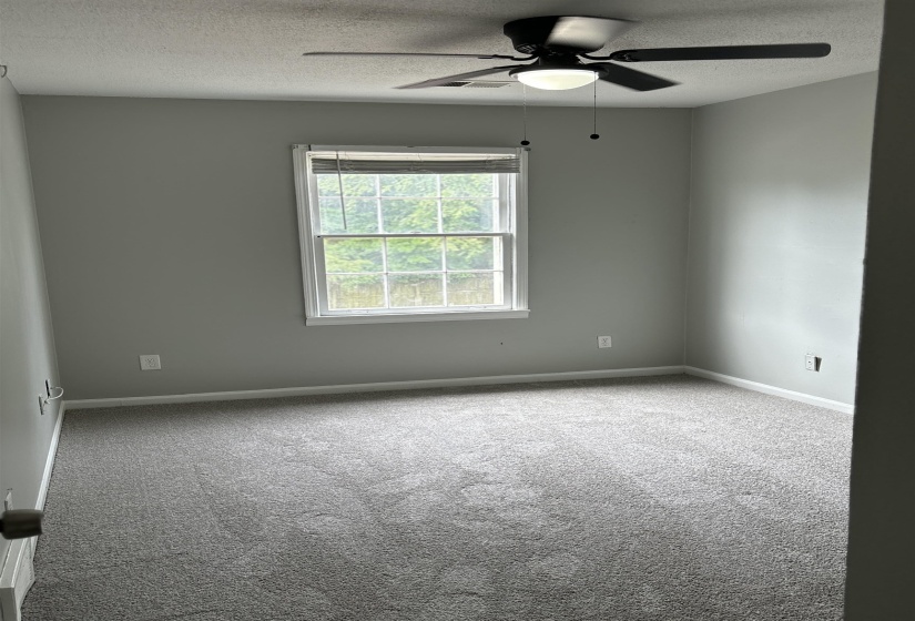 Bright room featuring a ceiling fan with integrated lighting, a double-hung window, and neutral-toned wall paint, complemented by soft gray carpeting