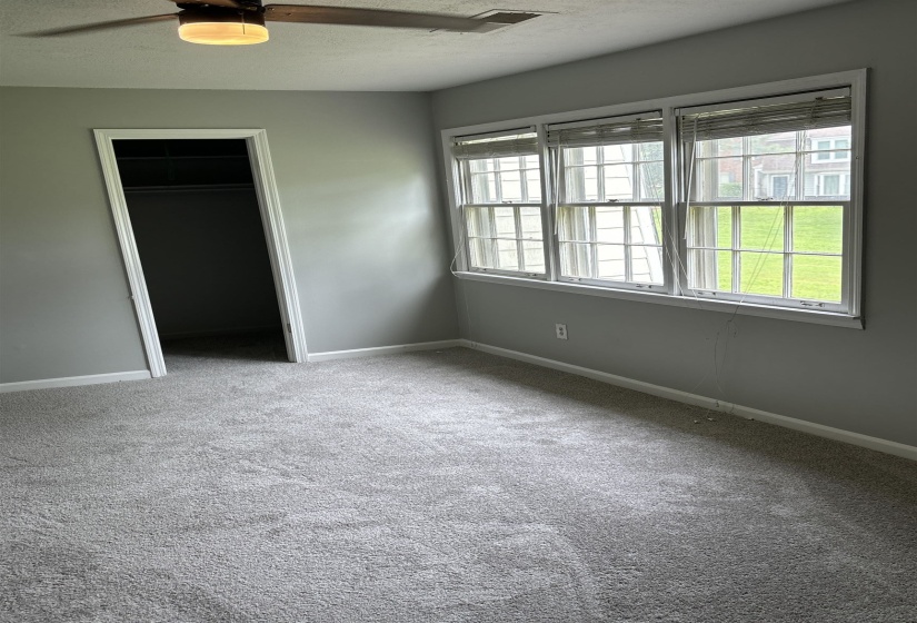 Light gray wall paint complemented by matching gray carpeting