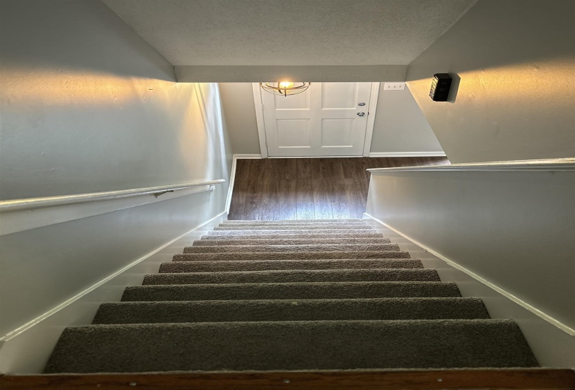 Carpeted staircase with white risers and handrails
