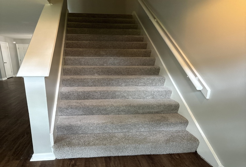 Carpeted staircase with white handrails and painted newel post, featuring dark wood-finish flooring at the base
