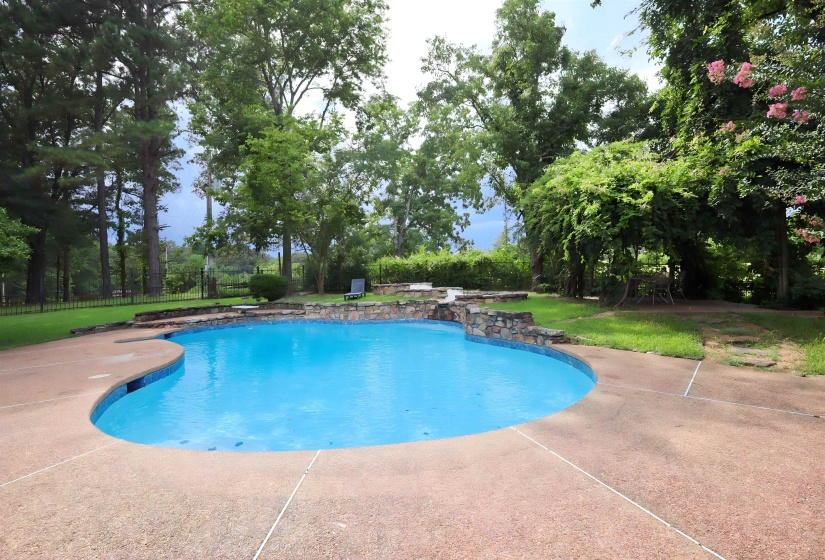 View of pool featuring patio surround, view of wooded area, and a diving board