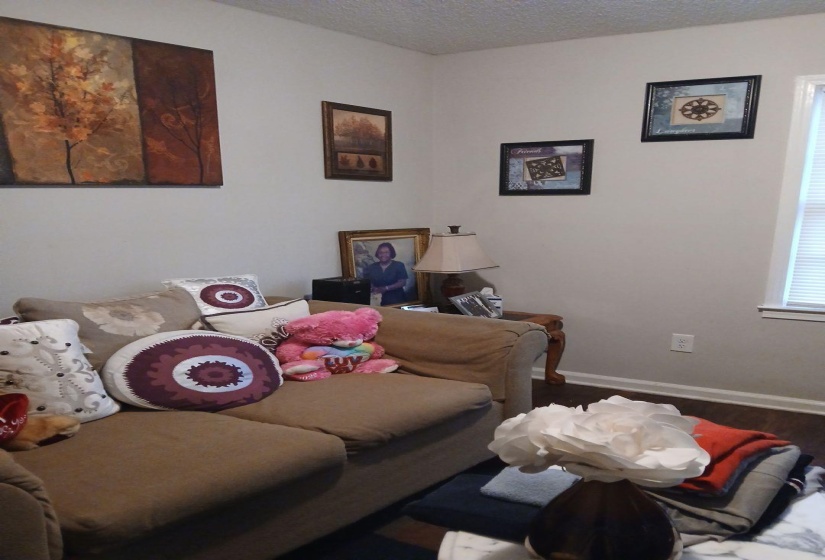 Image quality insufficient for description
