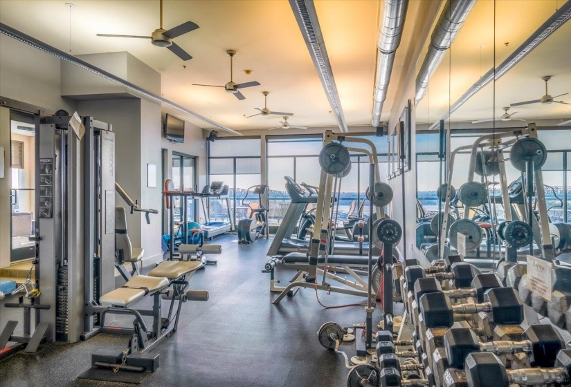 Fitness center with extensive weight training equipment, cardio machines, mirrored walls, ceiling fans, and large windows