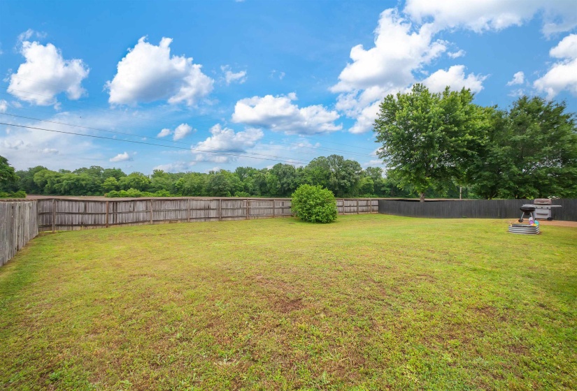 Expansive backyard featuring a large grassy area, a full privacy fence, and mature trees along the perimeter
