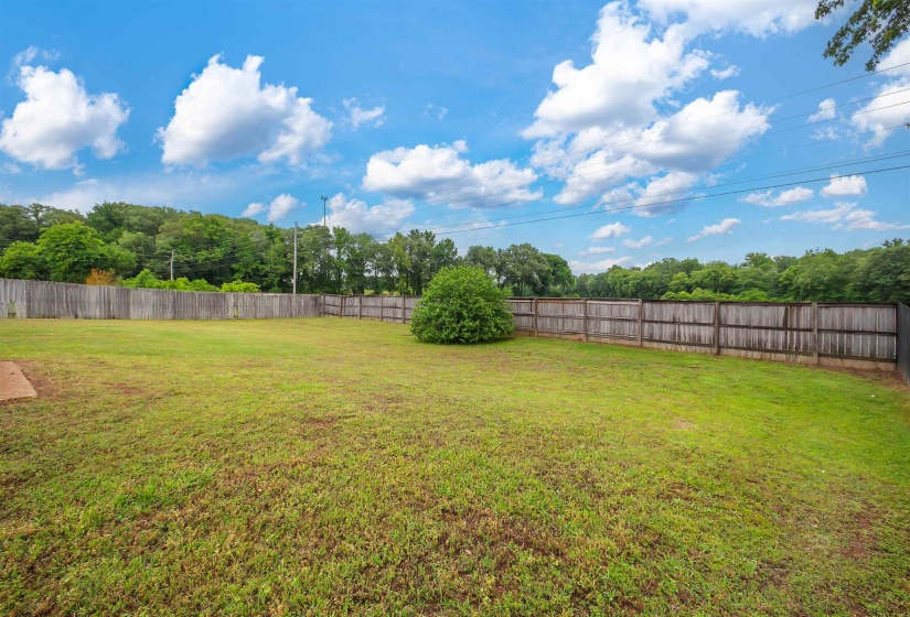Expansive grassy yard area with a partial privacy fence and mature perimeter foliage
