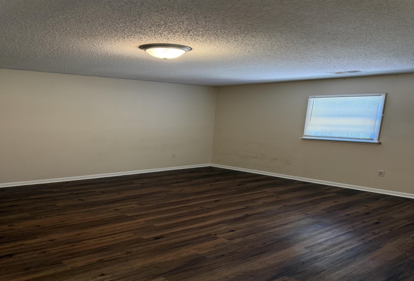 Spacious room featuring wood-finish flooring, a neutral color palette, a flush-mount ceiling light fixture, and a window with blinds