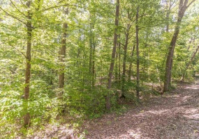 1540 A CHEWALLA RD, Ramer, Tennessee 38367, ,Land,For Sale,CHEWALLA,10221577