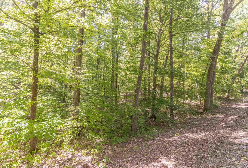 1540 A CHEWALLA RD, Ramer, Tennessee 38367, ,Land,For Sale,CHEWALLA,10221577