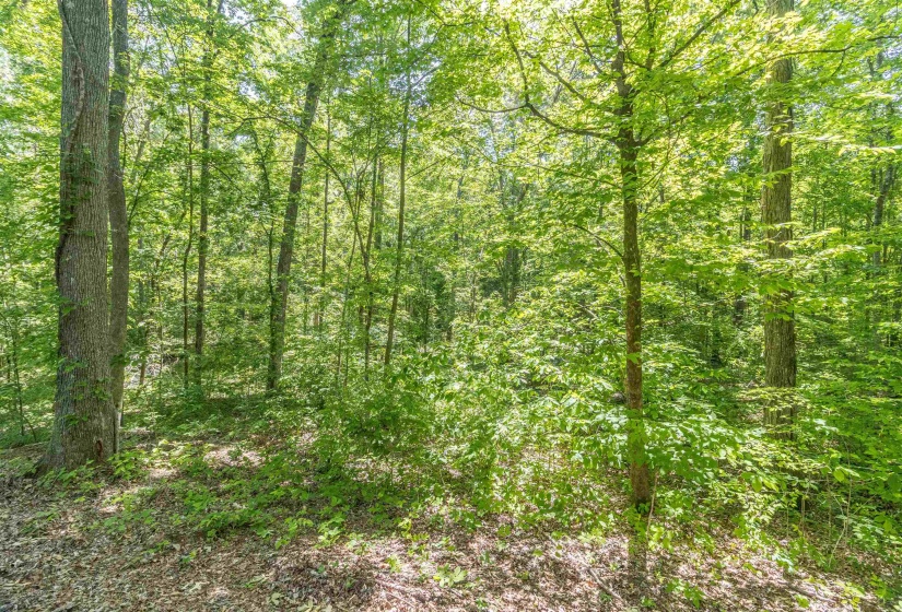 1540 A CHEWALLA RD, Ramer, Tennessee 38367, ,Land,For Sale,CHEWALLA,10221577