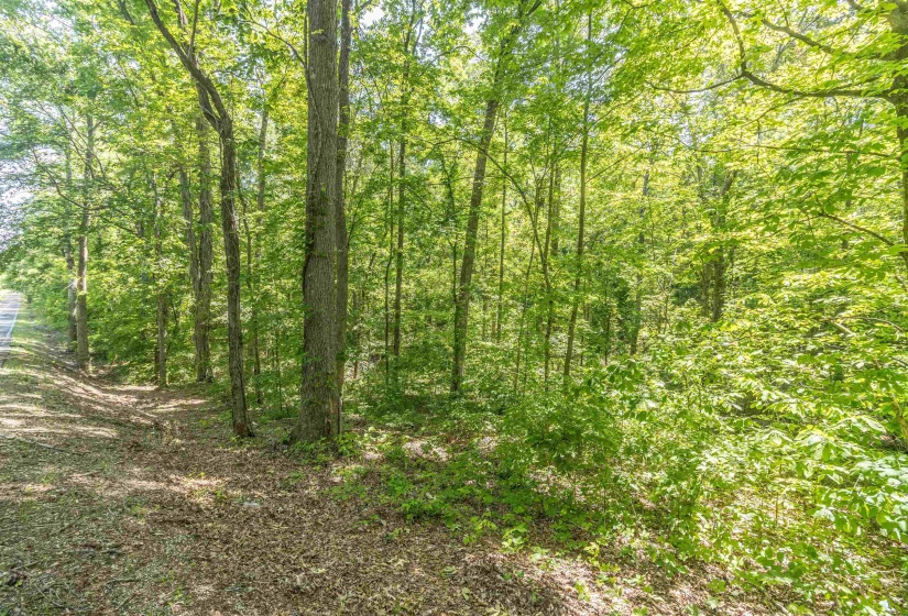 1540 A CHEWALLA RD, Ramer, Tennessee 38367, ,Land,For Sale,CHEWALLA,10221577