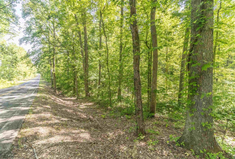 1540 A CHEWALLA RD, Ramer, Tennessee 38367, ,Land,For Sale,CHEWALLA,10221577