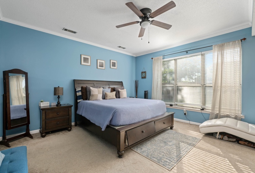 Spacious bedroom featuring light blue walls and a multi-pane window with blinds
