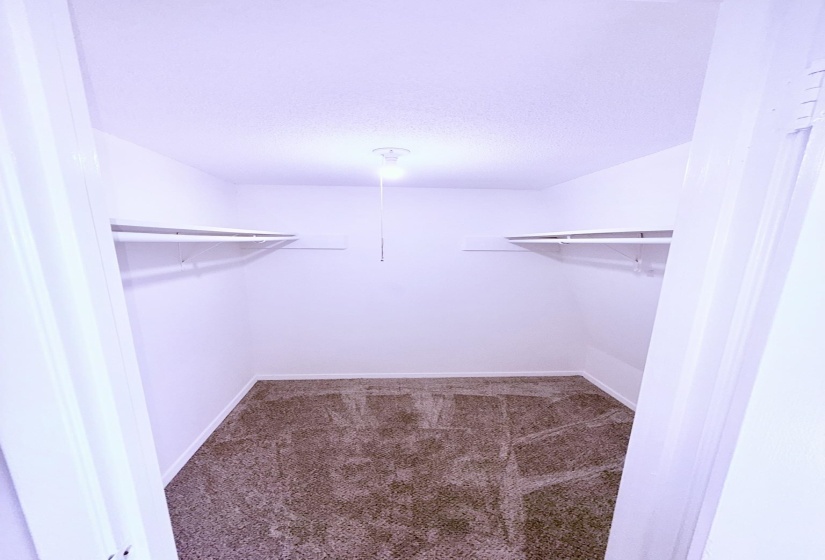Walk-in closet with neutral-toned carpet flooring, white walls, and built-in shelving