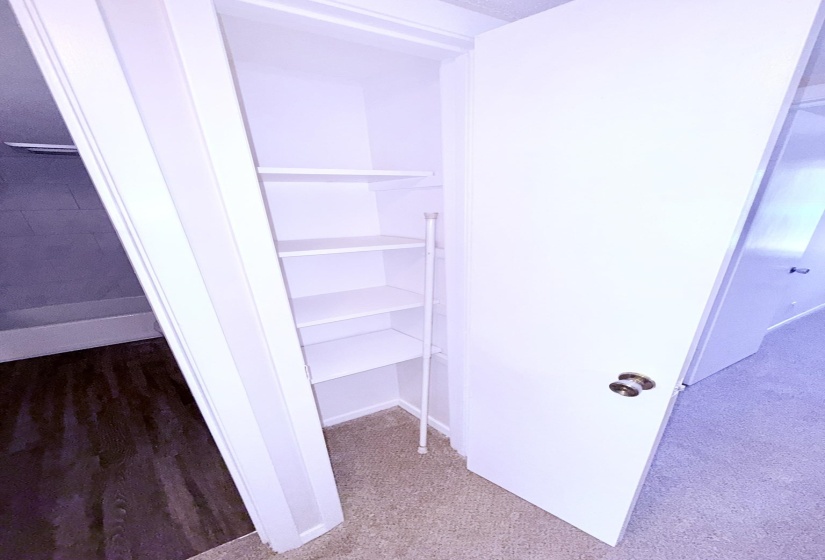 Built-in shelving unit providing ample storage, white interior walls, and light-colored carpeting