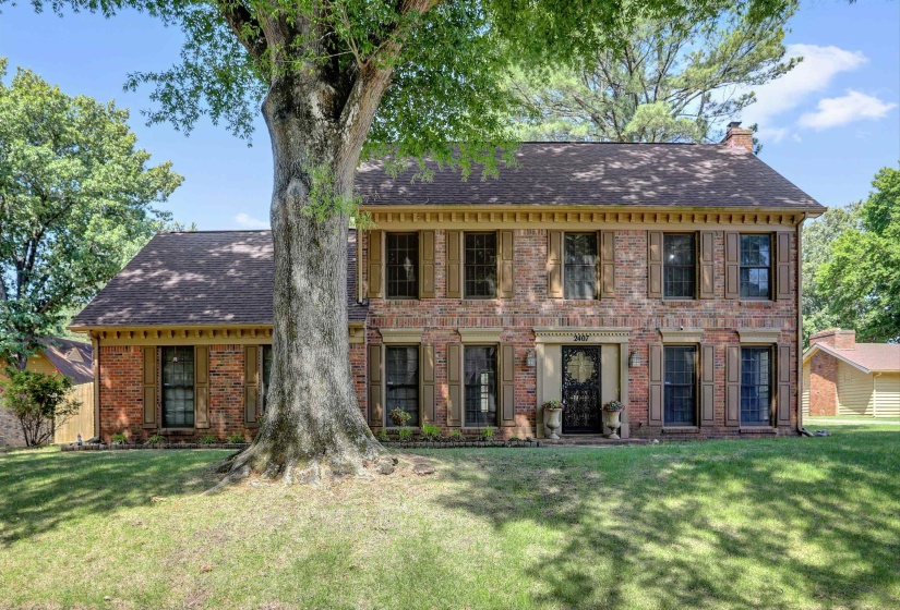 Traditional brick-front residence featuring a prominent mature tree, symmetrical window placement with louvered shutters, a dark shingle roof, decorative cornice detailing, and a black wrought iron entry door