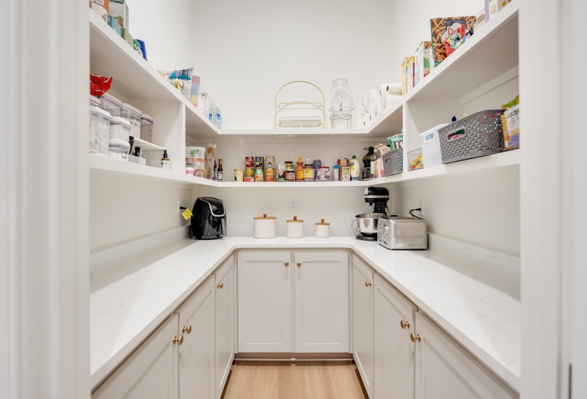 U-shaped pantry featuring extensive shelving, light cabinetry with brass hardware, and light-colored countertops