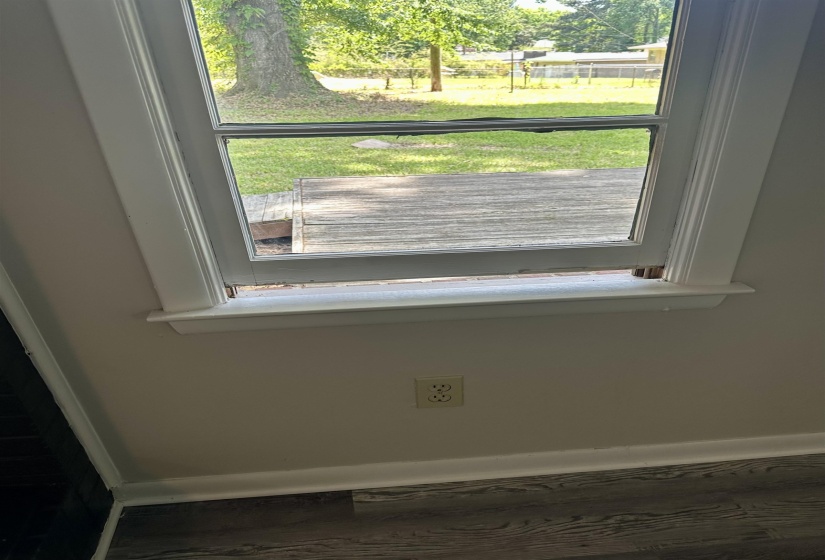 Double-hung window with white trim, offering views of a green lawn and mature tree
