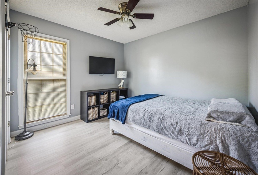 Bright room featuring wood-finish flooring, a ceiling fan with integrated lighting, a multi-pane window with blinds, and light gray wall paint