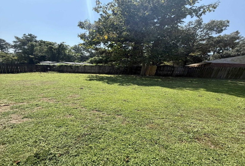 Expansive backyard featuring a mature tree, wooden privacy fencing, and a large grassy area